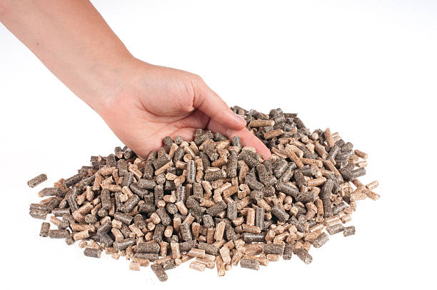 Wood Pellets Supplier in Lithuania