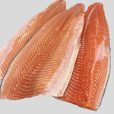 Salmon